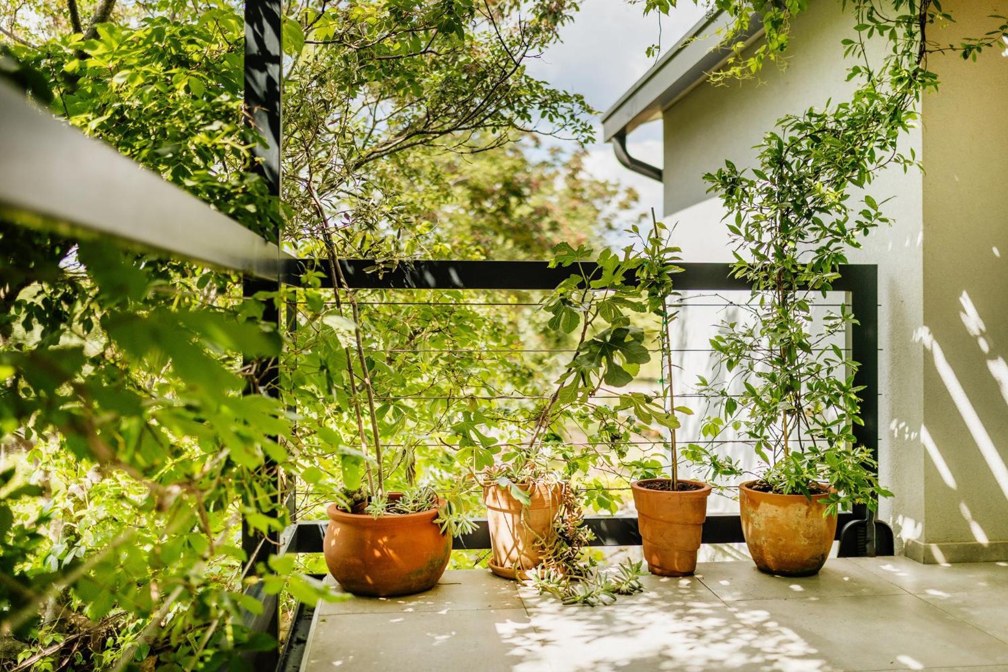 Peroj'S Green Oasis - Holiday Home エクステリア 写真