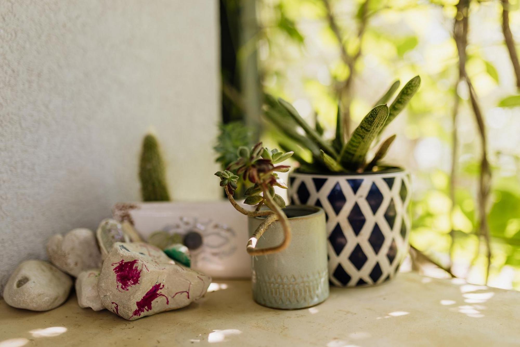 Peroj'S Green Oasis - Holiday Home エクステリア 写真