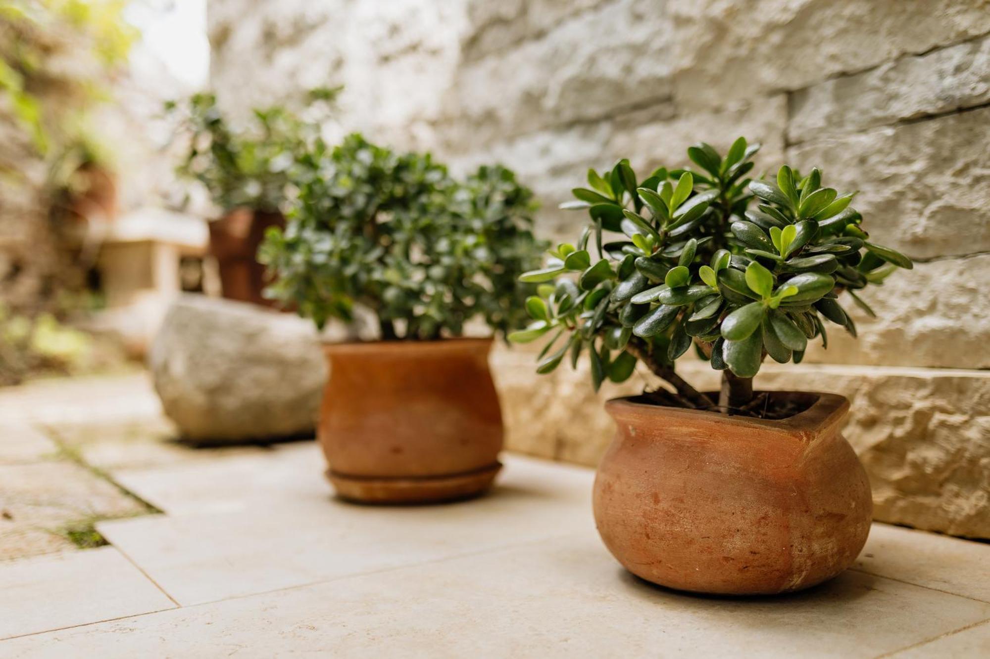 Peroj'S Green Oasis - Holiday Home エクステリア 写真