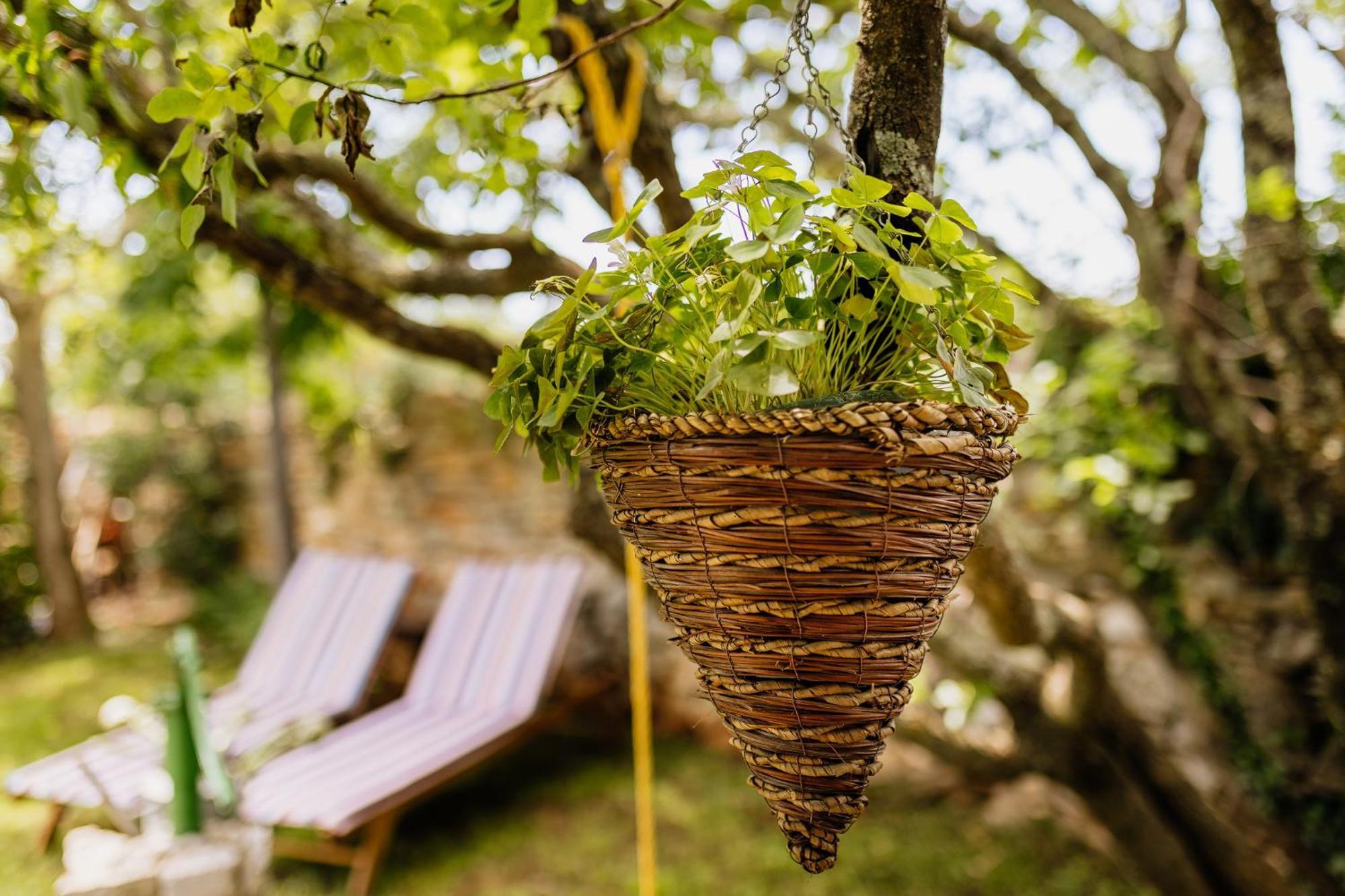 Peroj'S Green Oasis - Holiday Home エクステリア 写真