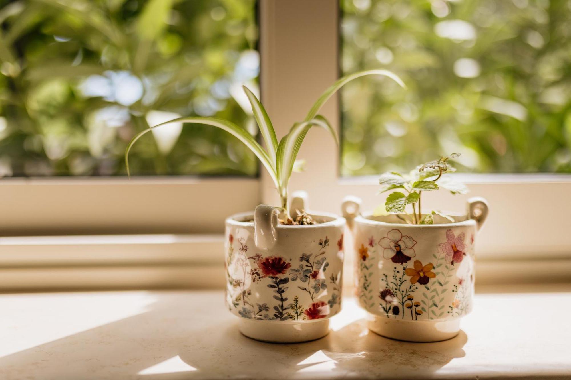 Peroj'S Green Oasis - Holiday Home エクステリア 写真